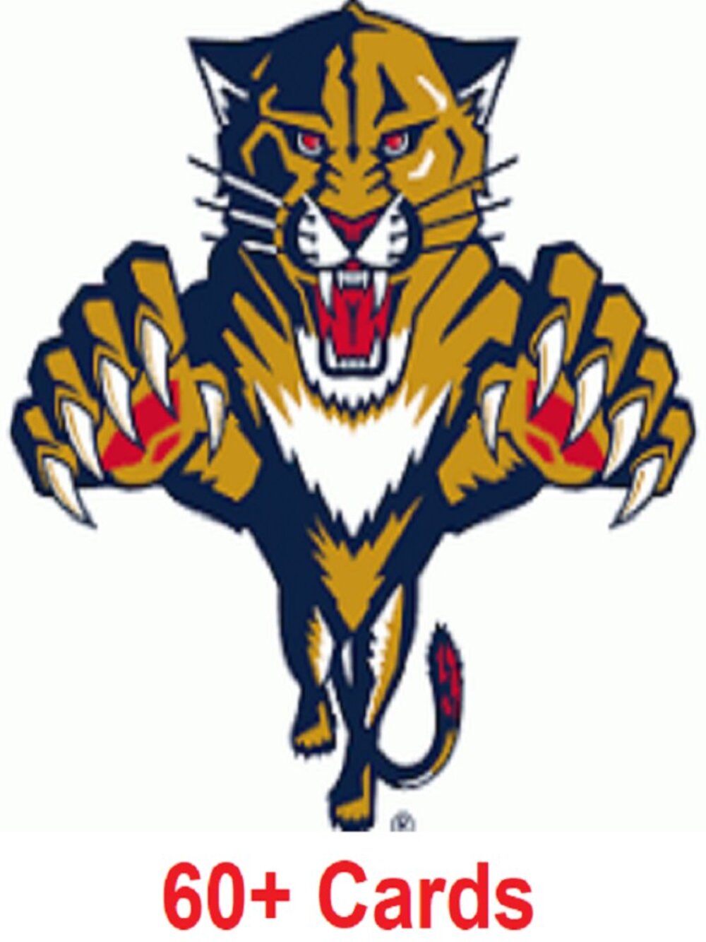 Florida Panthers Hockey Card Collection